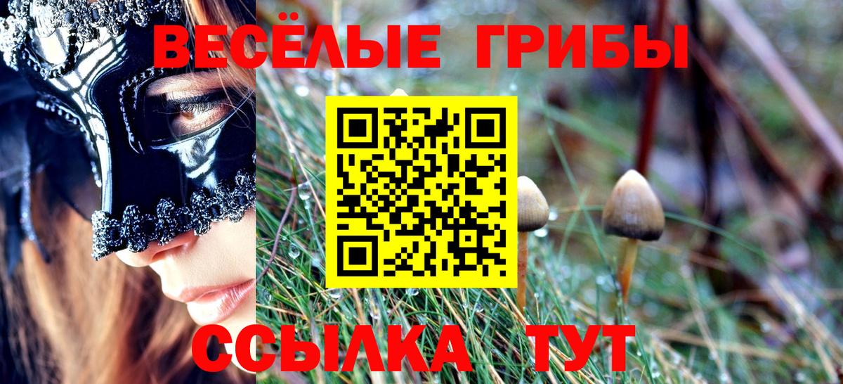 Ливны  Псилоцибиновые грибы мицелий  Псилоцибиновые грибы Psilocybe  Вход с VPN 