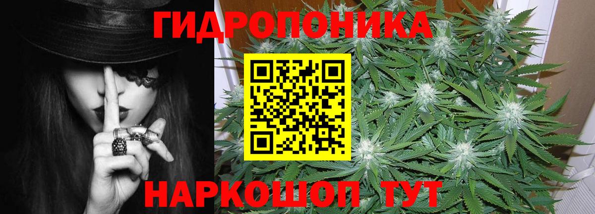 Конопля OG Kush  Бошки марихуана Bruce Banner  МАРИХУАНА OG Kush  Вход с VPN  МАРИХУАНА марихуана  Ливны 